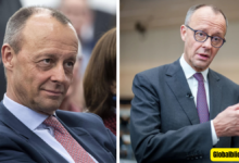 friedrich merz privatvermögen