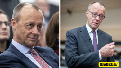 friedrich merz privatvermögen