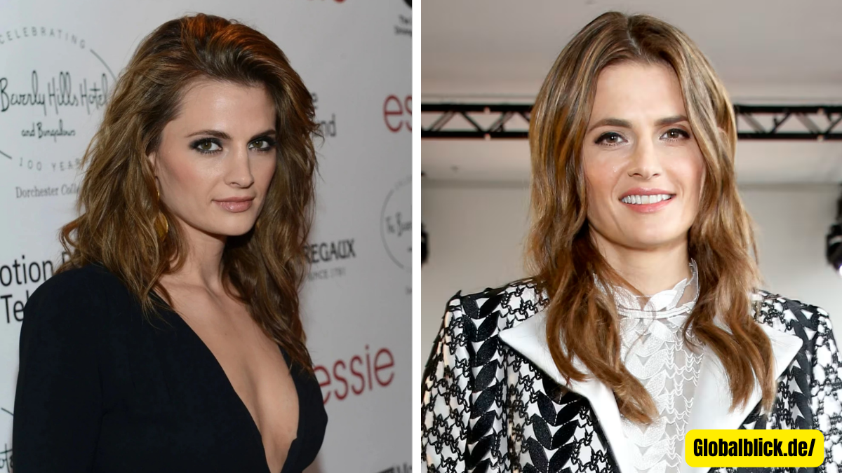 Stana Katic: Karriere, Leben, Einfluss und Vermächtnis einer Ikone